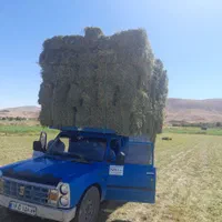 فروش بیده کاه نرمه بنجه پخل گندم پرس یونجه گندم|لوازم جانبی حیوانات|قوچان, |دیوار