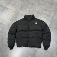 کاپشن باکسی نورث فیس