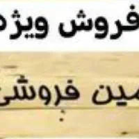 بیست متری فلکه سفیر