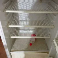 یخچال فیلور