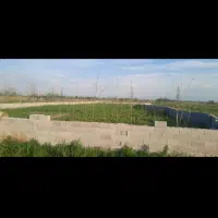 زمین کشاورزی