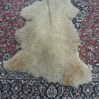 زیر انداز پشمی *تبریز|روفرشی|تهران, جهاد|دیوار