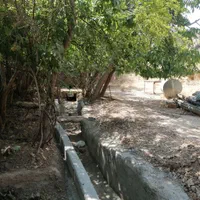 باغچه مفروز شش دانگ در محمودیه چمران