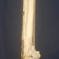 دیاپازون زیمنس فرکانس 125 هرتز|گیتار، بیس، امپلیفایر|تهران, شهرک چیتگر|دیوار