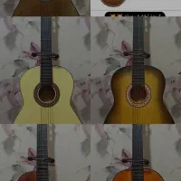 گیتار نو با کیف به قیمت تولیدی