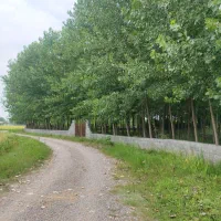 زمین-مسکونی-با-پروانه-و-سند-محدوده-شهرستان-خمام