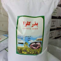 بذر کلزا دلگان هایولا