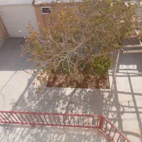 اجاره منزل مسکونی مجتمع متین شاهدیه|اجارهٔ آپارتمان|یزد, |دیوار