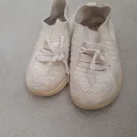 کفش و کیف|کیف، کفش، کمربند|مراغه, |دیوار