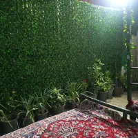 نیرو کار در کافه بانوان