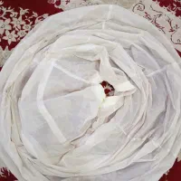 ژپون زیر لباس مجلسی