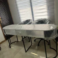 میر ناخن سالنی