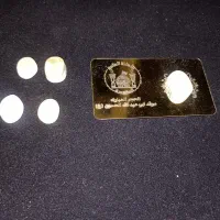 سنگ هدیه حرم حسینی و رضوی