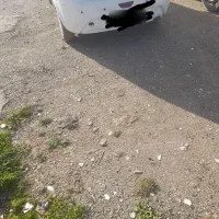 حواله سهند اطلس