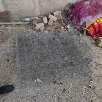 قفس بلدرچین