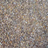 خوارک پرنده عمده و خرده|لوازم جانبی حیوانات|رفسنجان, |دیوار