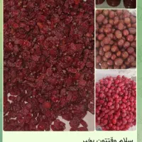 زرشک تازه زرشک پلویی