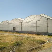 فروش یا اجاره گلخانه