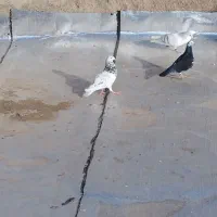 ۷تافروشی پرش زمانتی