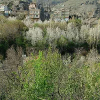 باغ ییلاقی در روستای اردمه|فروش زمین و ملک کلنگی|مشهد, کوی سیدی|دیوار
