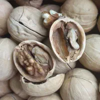 گردو چینی درجه ۱|خوردنی و آشامیدنی|اهواز, کوی علوی|دیوار