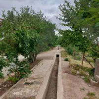 باغچه-جاده-اصلی-تاکستان