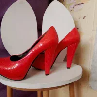 گفشه مجلسی شماره 39با زیرقیمت منتشرشد