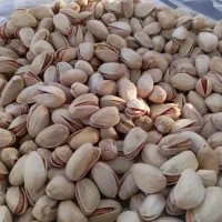 فروش پسته اکبری وکله قوچی با قیمت مناسب|خوردنی و آشامیدنی|شیراز, کوشک میدان|دیوار