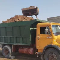 کوت گوسفند|گل و گیاه طبیعی|اهواز, غیزانیه|دیوار