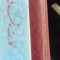 کارت ملی هوشمند پیدا شده