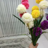 گل طبیعی|گل و گیاه طبیعی|مشهد, هفت تیر (آب و برق)|دیوار
