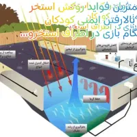 روکش استخر|مصالح و تجهیزات ساختمان|تهران, چیتگر شمالی|دیوار