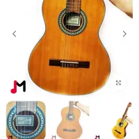 گیتار بست فان