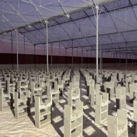 زیر بستر کشت گلخانه بتنی|مصالح و تجهیزات ساختمان|اصفهان, باغ نگاره|دیوار