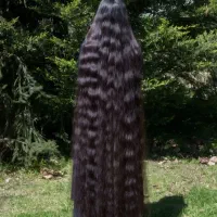 خرید،فروش(مو طبیعی و رنگی )