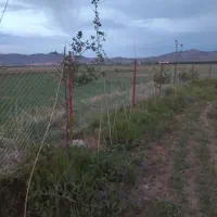 فنس کشی چاله کنی کاشت درخت هرس درختان میوه صنوبر|خدمات باغبانی و درختکاری|بازرگان, |دیوار