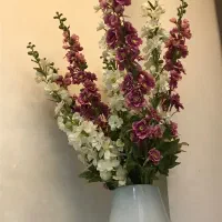 گل وگلدان خارجی