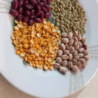 لوبیا چیتی و قرمز و عدس و لپه|عمدهفروشی|کرج, حصارک بالا|دیوار