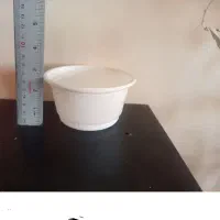 کاسه یکبار مصرف درب دار