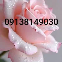 فروش یک عدد سیمکارت اعتباری همراه اول رند