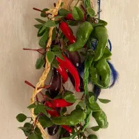 سبد و سبزیجات