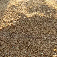 گندم چمران۲|عمدهفروشی|رامشیر, |دیوار