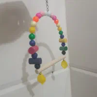 مرغ عشق باقفس باغذاخوری وآب خوری و ارزن کتان|پرنده|طبس, |دیوار