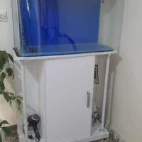 آکواریوم  شیشه خم سایز بزرگ|ماهی|محمدشهر, هزار واحدی|دیوار