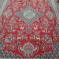 فرش ۱۲ متری سالم و زیبا فروش فوری|فرش|بومهن, |دیوار