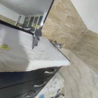 یک عروس نر سخنگو دستی|پرنده|محمدشهر, جعفرآباد|دیوار