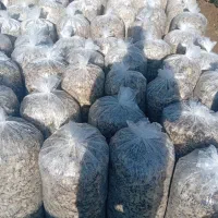 تفاله چغندر