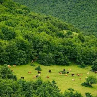 تور  سرعین تا  ارسباران|تور و چارتر|اصفهان, وحید|دیوار