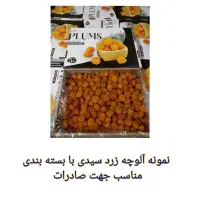 فروش نهال آلوچه زرد سیدی|خدمات باغبانی و درختکاری|مراغه, |دیوار