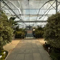 کمک آشپز  و ویتر